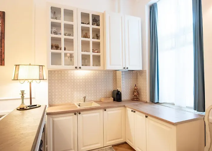 公寓 Casa Baritiu *